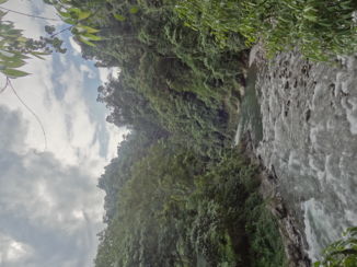 Gunung Leuser National Park - Bohorok rivier langs het park