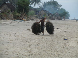 Nusa Penida - Zeewierteelt
