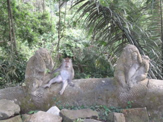 Monkey Forest