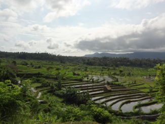 Tirtagangga