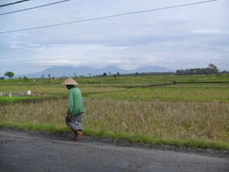 Bali - lokaal vrouwtje