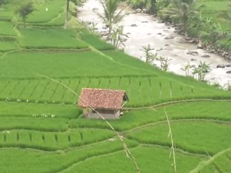 Java - Evenzo Garut-Tasik