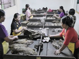 Yogyakarta - Sigarenfabriek