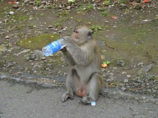Java - Kleine dondersteen heeft mijn waterfles gepikt 