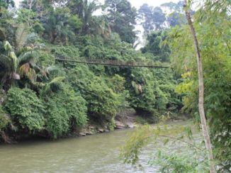 Sumatra - Jungle van Tankahan