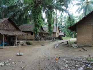 Sumatra - Jungle van Tankahan