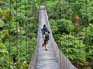 Sumatra - Tangkahan jungle