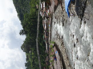 Gunung Leuser National Park - Brigde to GLNP