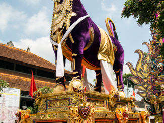 Bali - Paarse houten buffel sarcofaag