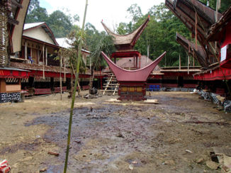 Indonesie - begrafenis met slacht traditie van Toraja's