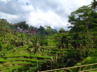 Indonesie