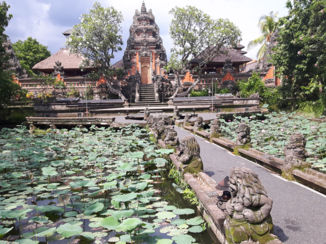Bali - Pura tamar kemuda saraswati , ubud