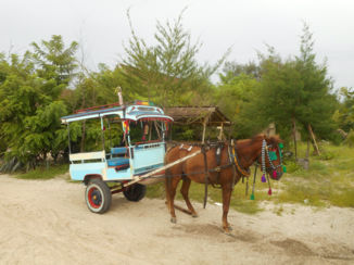 Indonesie - Vervoersmiddel op de Gili eilanden
