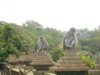 Indonesie - Uluwatu tempel