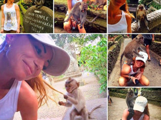 Monkey Forest - Monkey forrest