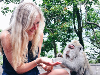 Indonesie - Aapjes voeren in Monkey Forest