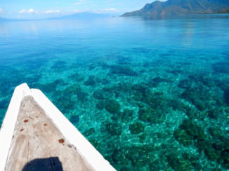 Indonesie - Snorkling maumere