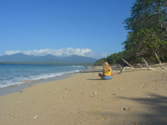 Menjangan - Ontspannen op het strand