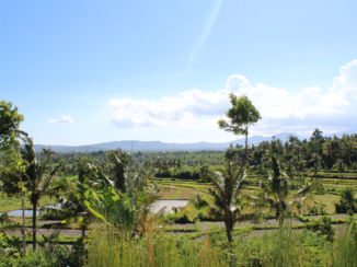 Indonesie - sawa's Oost Bali