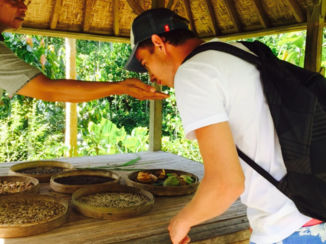 Indonesie - Koffieplantage