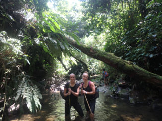 Indonesie - Jungle in Sumatra