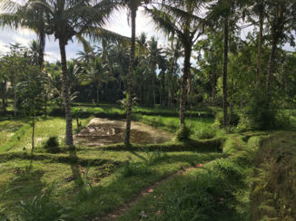 Indonesie - Tetabatu