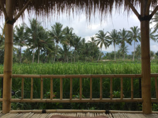 Indonesie - Tetabatu