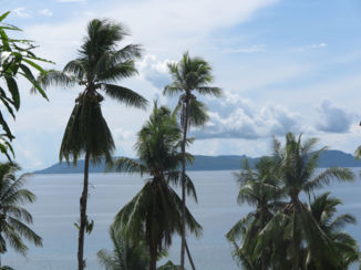 Indonesie - Nusa Laut