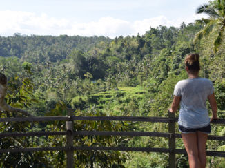 Indonesie - Ubud