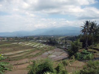 Java - Landschap tussen Bandung en Yogyakarta