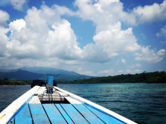 Indonesie - Menjangan