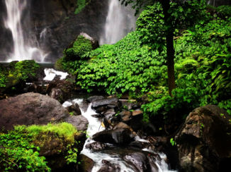 Indonesie - Sekumpul