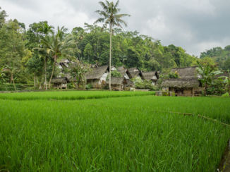 Indonesie - kampun naga