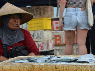 Gianyar - Lokale vrouw verkoopt vis