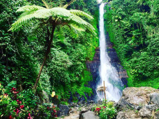 Bali - Gitgit Waterfalls