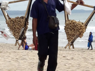 Indonesie - De pandabeer