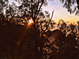 Java - Zonsopkomst bromo