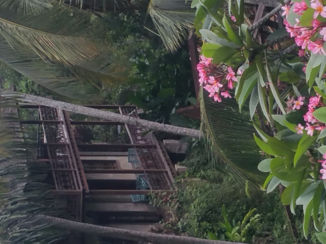 Bali - Huis in de rijstenvelden