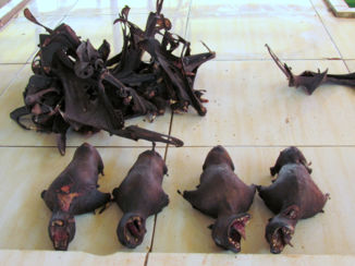 Sulawesi - Op Tomohon's makabere markt