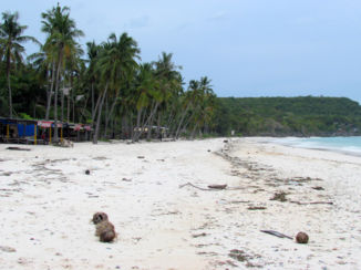 Sulawesi - Coconut beach bij Bira