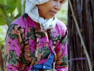 Indonesie - Java op rijstveld