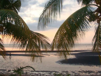 Indonesie - Lovina lava beach