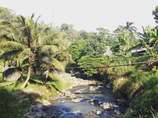 Java - Prachtige natuur