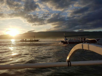 Rondreis Bali & Lombok - Dolfijnen spotten bij zonsopgang