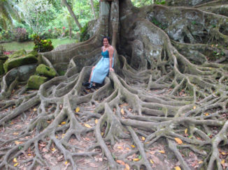 Bali - Bedulu Village