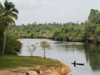 Papoea - Varen in een boomstam.