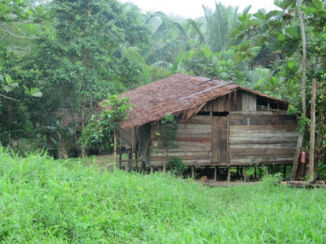 Papoea - Woning van de locals