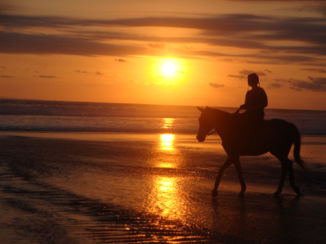 Bali - Paardrijden bij een prachtige zonsondergang te Tabanan