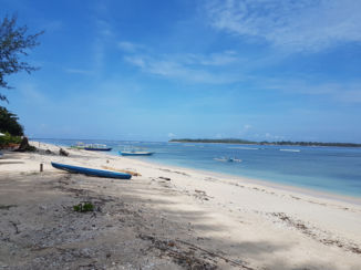 Indonesie - Gilli air