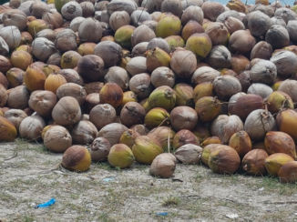 Indonesie - Gilli air